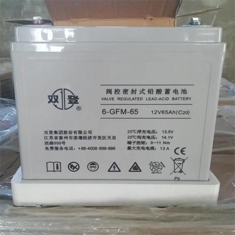 双登蓄电池6-GFM-100 12V100AH用于UPS EPS直流屏