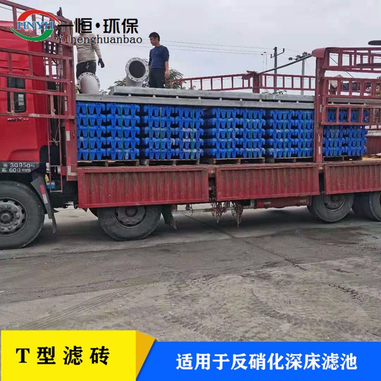 一恒实业 湘潭 HDPE滤砖 气水分布块 全程技术指导图片