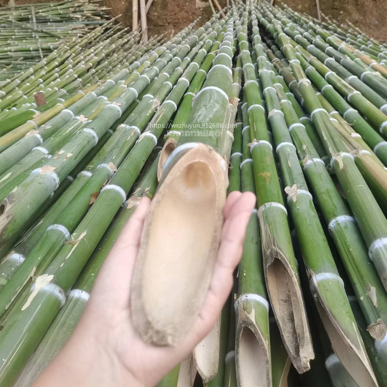 附近发货种菜拉网用竹子批发 竹子厂家图片