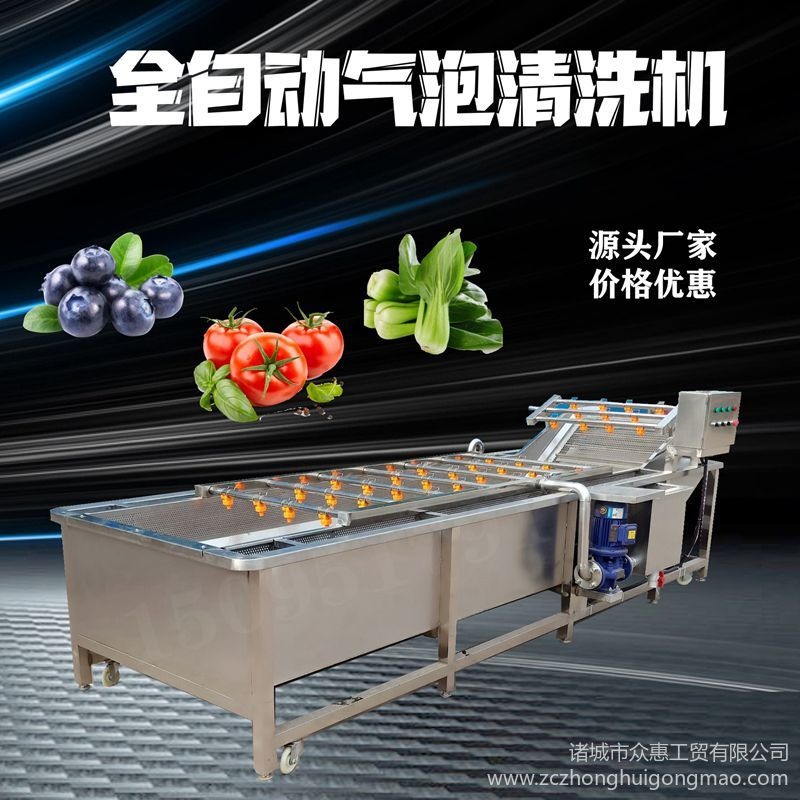 水果蔬菜气泡清洗机 臭氧消毒洗菜机 可定制海产品清洗机 ZH