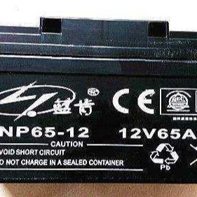 蓝肯NP65-12蓄电池12V65AH通讯机房EPS应急电源配电柜直流屏UPS用