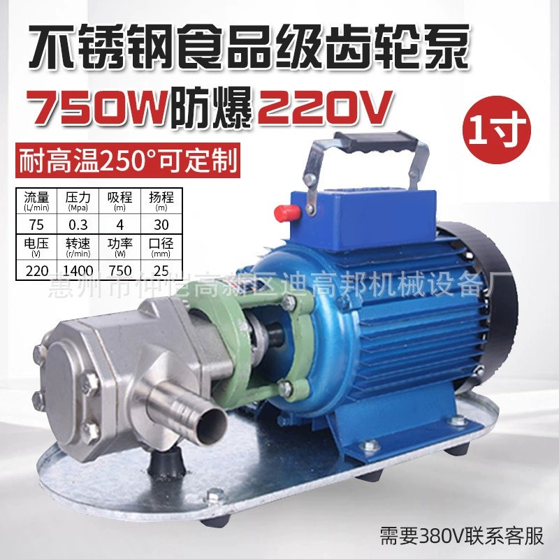 WCB便携式电动齿轮油泵铸铁WCB-50配750W电机