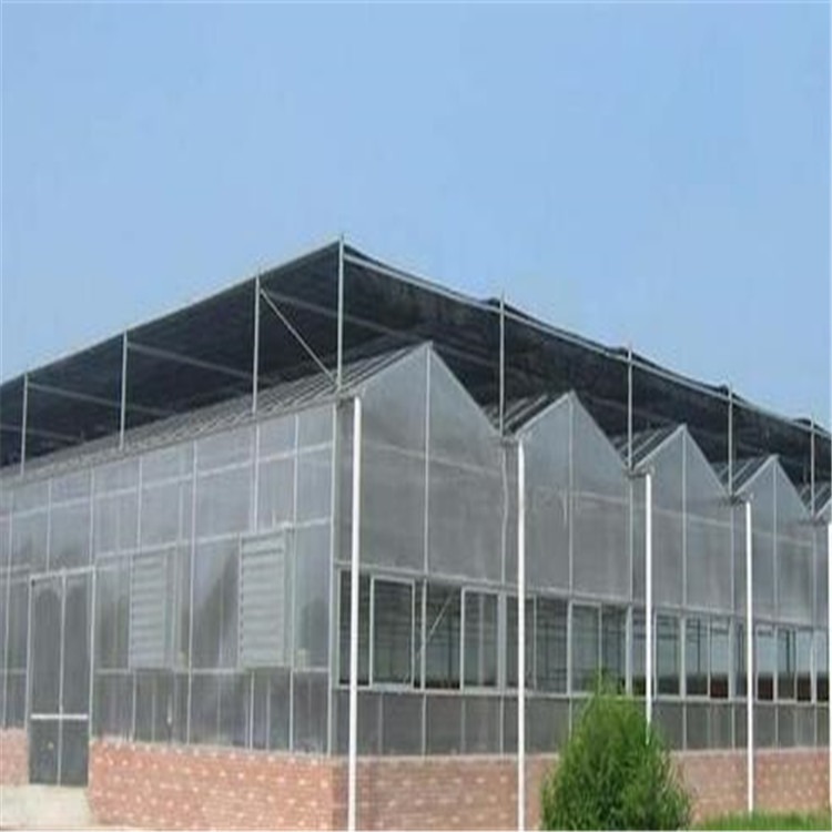 青州连栋玻璃温室建造 双膜双梁大棚安装 旭航温室大棚建设
