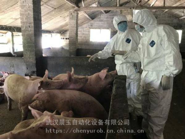 青海西宁市(2022惊爆价)畜牧养殖自动喷雾消毒厂家价格优惠