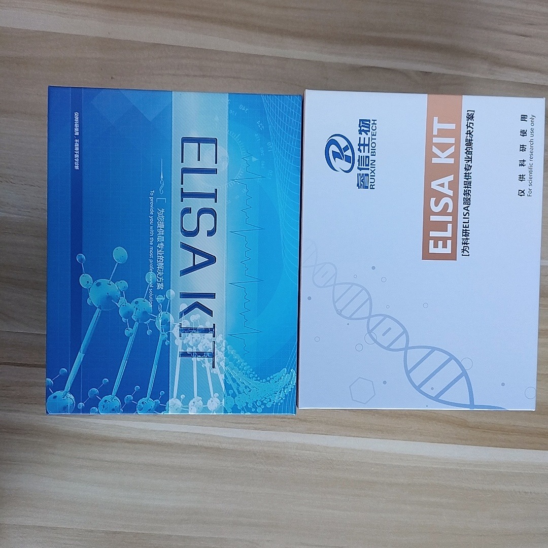 单 抗体作用 牛ELISA试剂盒 ELISA检测 睿信生物