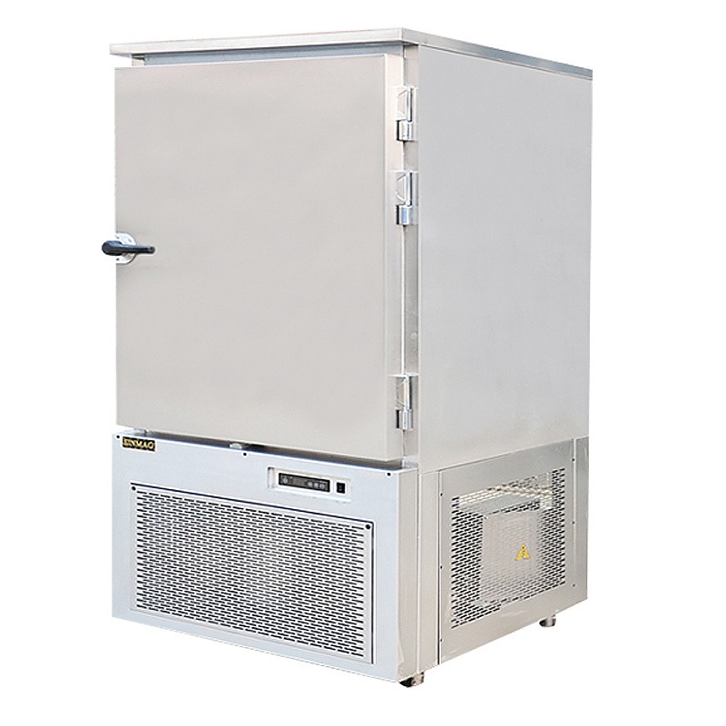 新麦急速冷冻柜商用大容量低温速冻柜SM-SF6立式低温急冻柜冰柜图片