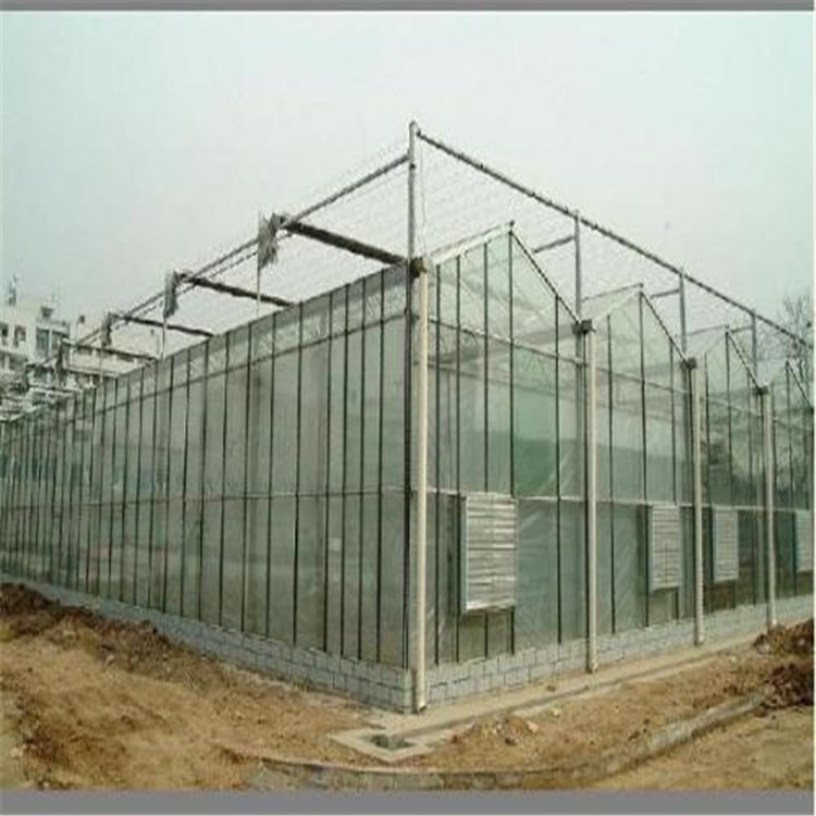纹洛式玻璃温室设计 北京观景植物大棚  旭航温室大棚设计