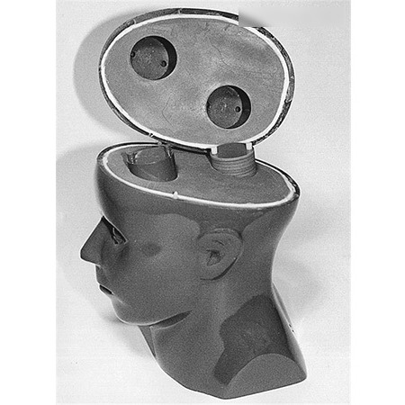 Delta德尔塔仪器RSD 立体定向手术的头部模体图片