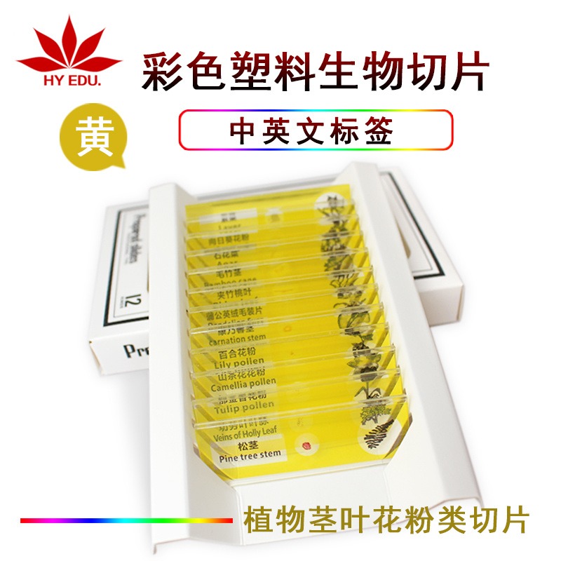 红苹果 黄色塑料制套装 显微镜生物切片  中英文标签
