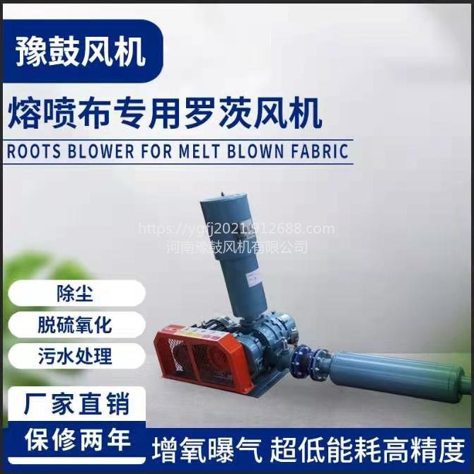 上海三叶罗茨鼓风机污水处理曝气风机水产增氧机高压风机