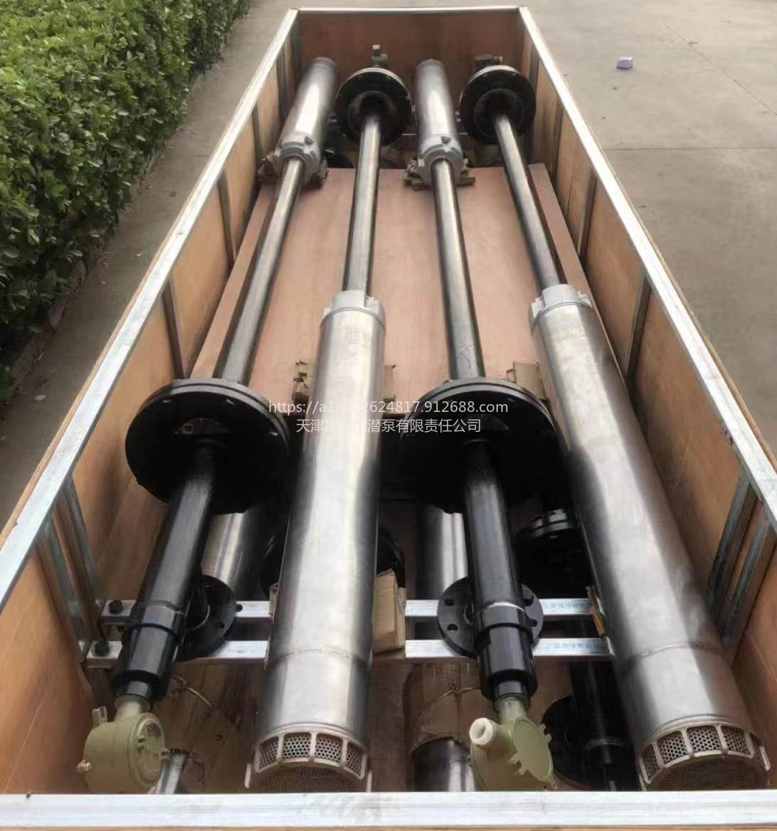 天津绿牌吡啶碳钢防爆潜泵高扬程