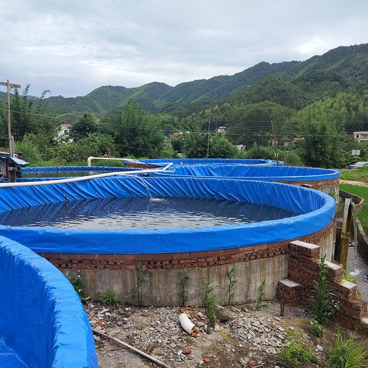平地帆布池PVC涂塑布循环水养殖池循环水养殖池鱼池帆布图片