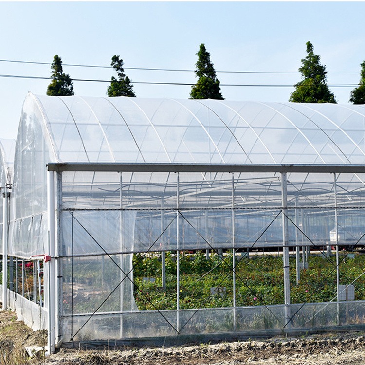 河南新乡蔬菜种植棚 西红柿甜瓜种植棚搭建 薄膜种植棚厂家定制 嘉诺