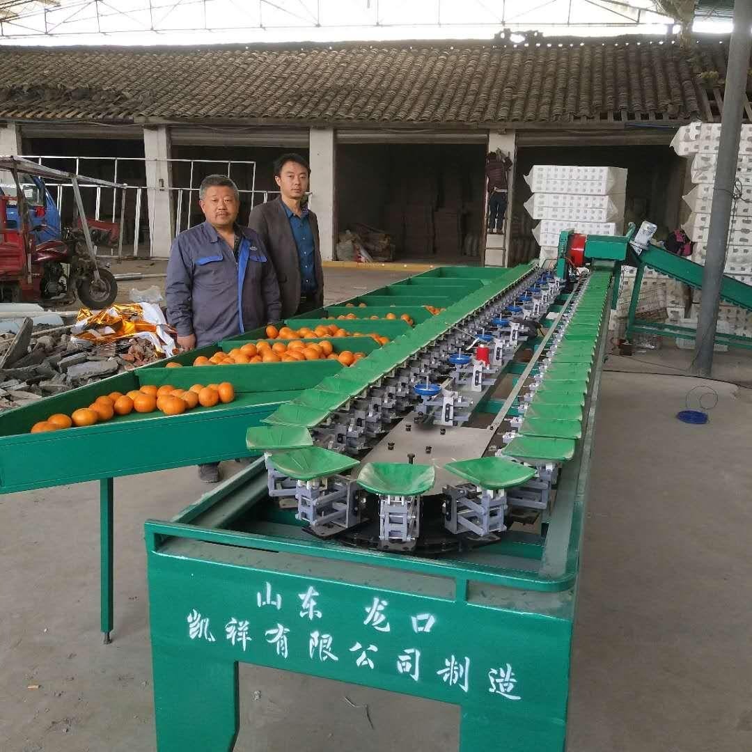 柚子分选大小的机器 平和西柚分选机 葡萄柚选果机厂家出品