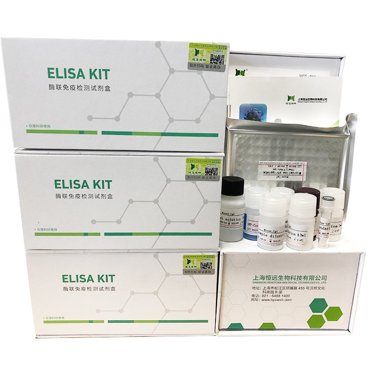 恒远生物小鼠白介素18(IL-18)ELISA试剂盒酶联免疫厂家