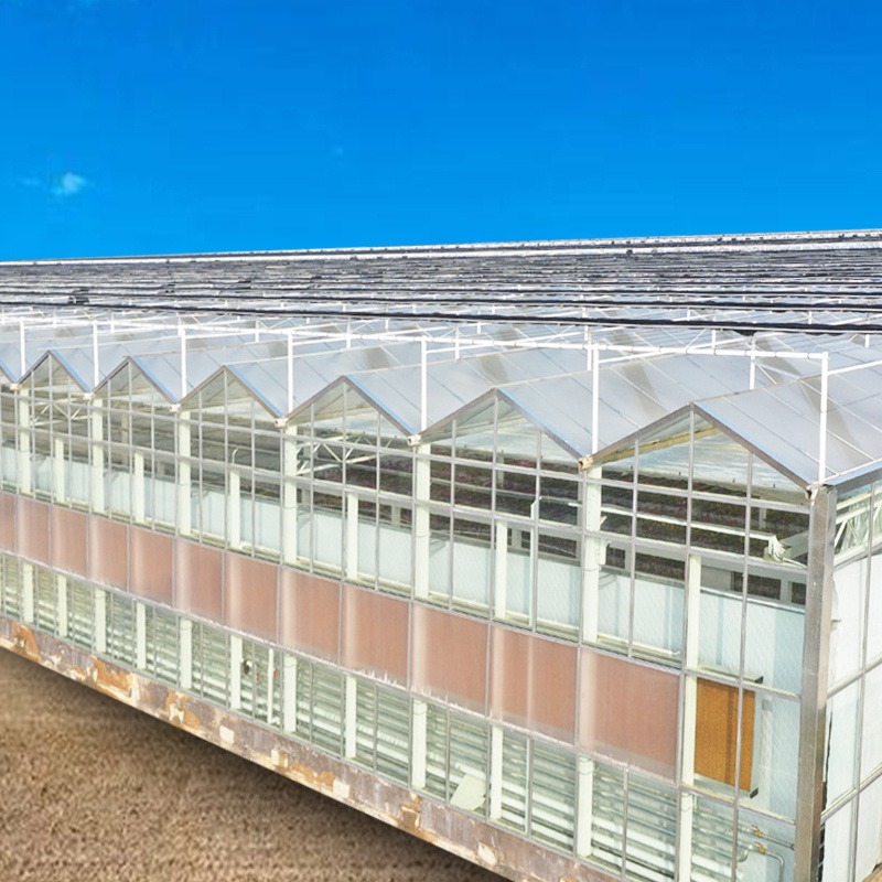 【润隆农业科技】智能玻璃温室大棚 玻璃温室骨架建设 玻璃大棚厂家