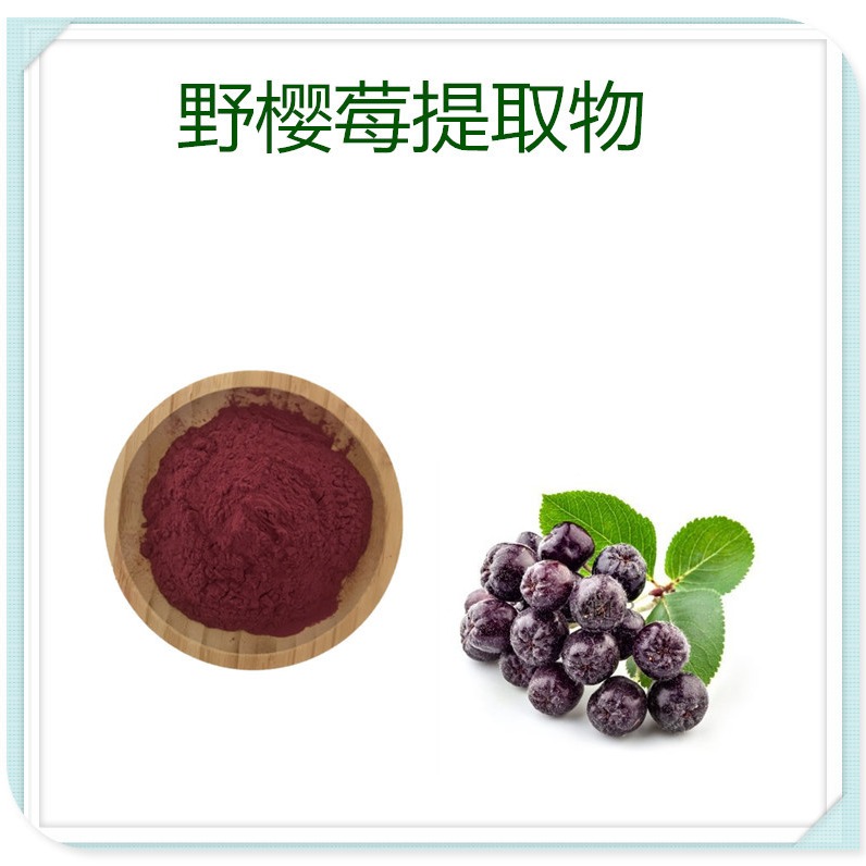 野樱莓提取物10:1 速溶粉 花青素 食品级原料 沃特莱斯生物图片
