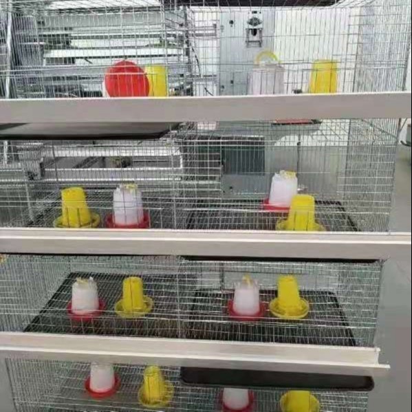 养鸡设备 喂料机 捡蛋机 清粪机 鸡笼 阶梯式 层叠式 配件养殖场一站式采购厂家柏业机械