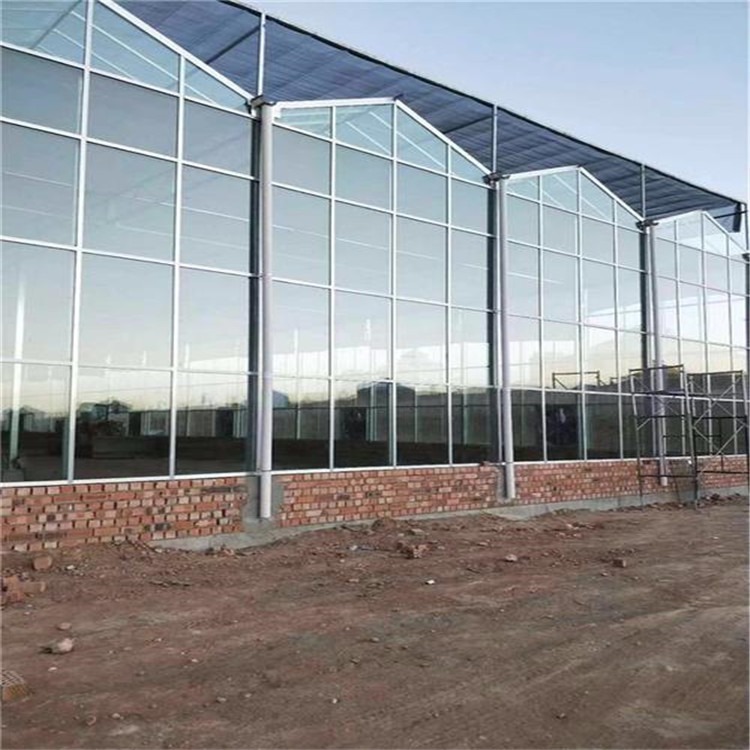北方温室大棚生产厂家 玻璃钢大棚生产厂家 旭航温室大棚建造