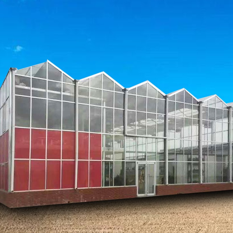 潍坊建达  温室大棚厂家 蔬菜温室大棚 建设玻璃大棚 坚固耐用 环保节能