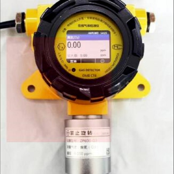 固定式臭氧检测仪型号:ZP600-O3库号：M408028