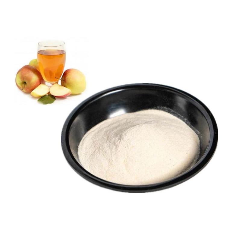 水溶性苹果醋粉10% 苹果醋喷雾干燥粉  斯诺特生物苹果提取物图片