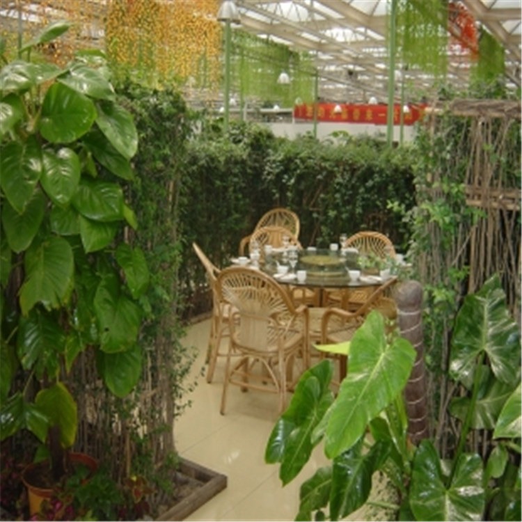 温室生态园餐厅设计 蔬菜钢管大棚价格 旭航