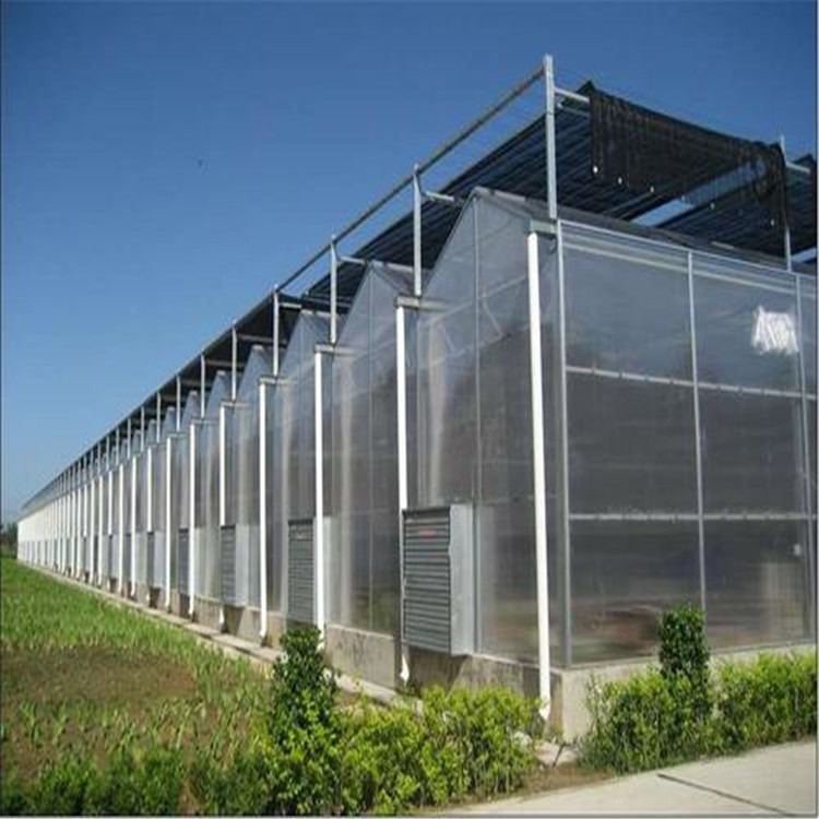 上海文洛式玻璃温室 联栋阳光板温室 旭航