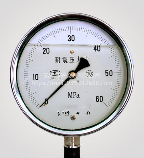 浦光仪表尺寸可定制远传压力表YH-150