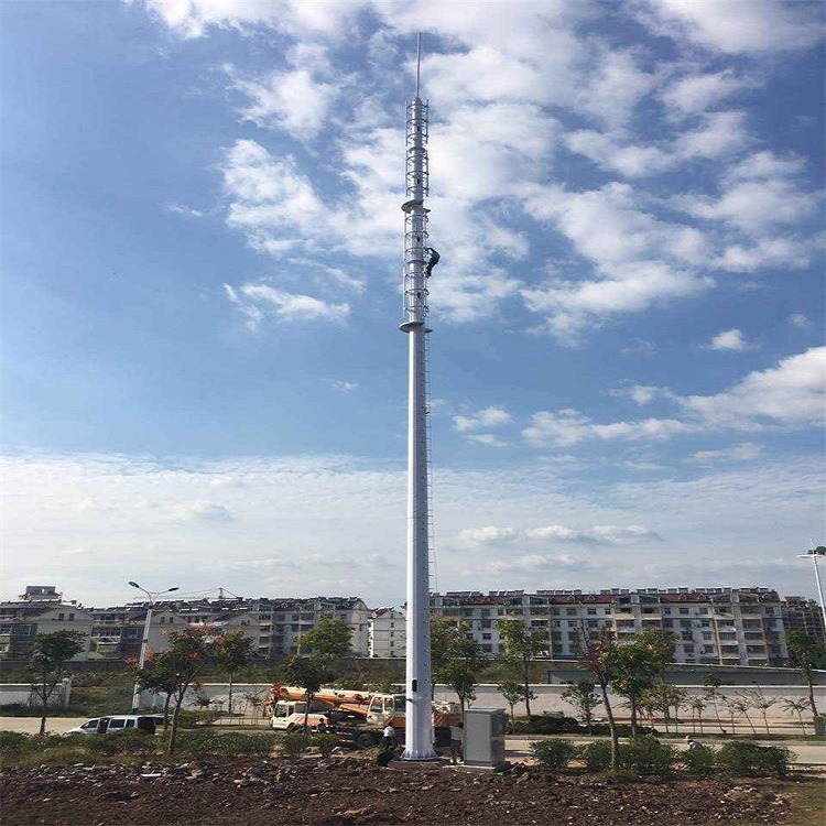 泰翔厂家定制5米-120米5G美化塔 4G移动单管塔钢结构 单管避雷塔