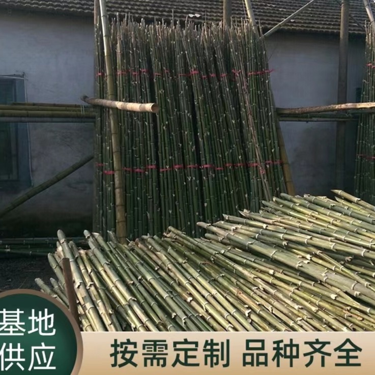 竹子批发市场 根部带斜口撑树用的竹棍 竹棒子