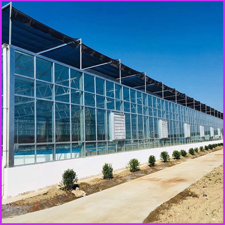 10mm透明阳光板 梅州双层空心阳光板 智能温室大棚PC阳光板