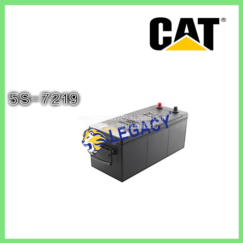 美国CAT蓄电池8C-3640，8V175AH电池-平凉销售点