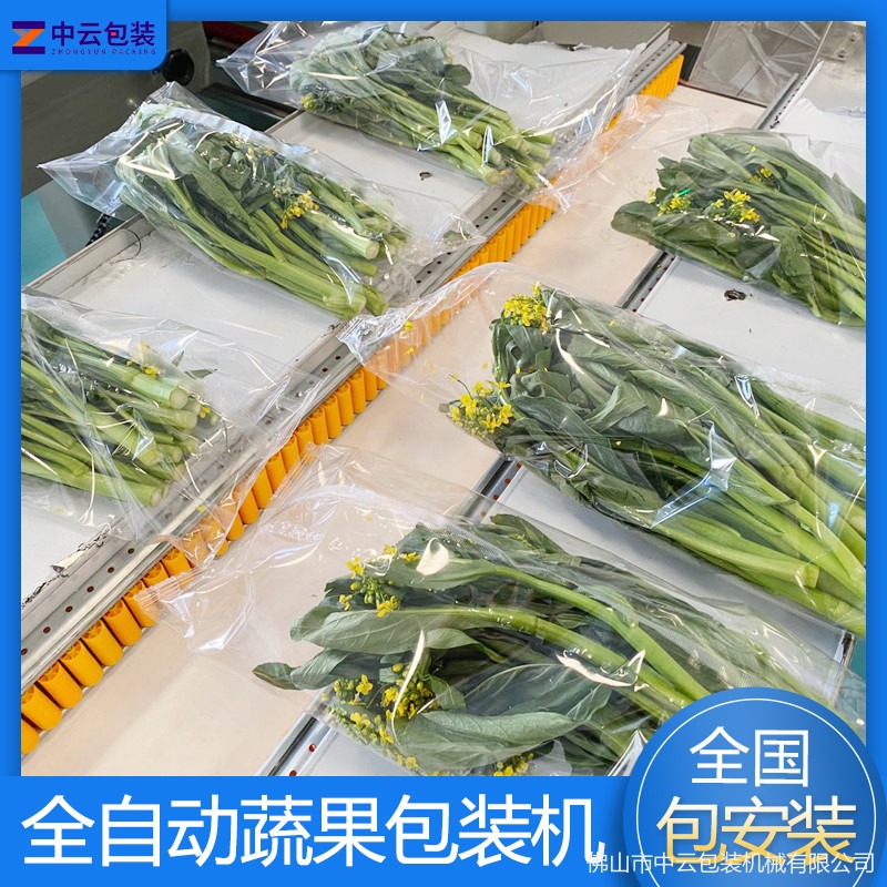 生鲜食品枕式包装机 水果蔬菜肉类自动包装机械设备厂家