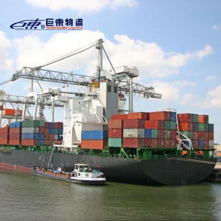 法国fba海运专线 国内到法国海运专线  巨东物流13年海运服务专业可靠图片