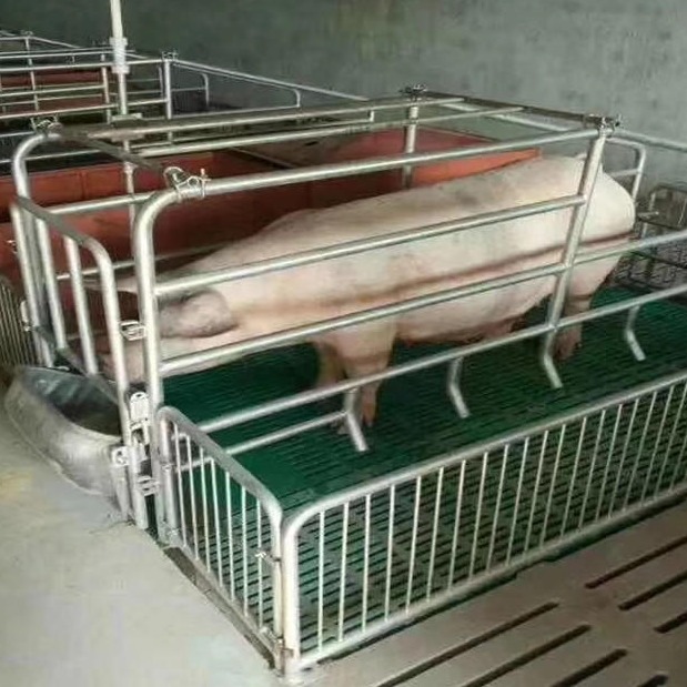 母猪产床厂家 优质热镀锌母猪产床 全复合产保两用母猪产床 单体母猪分娩床
