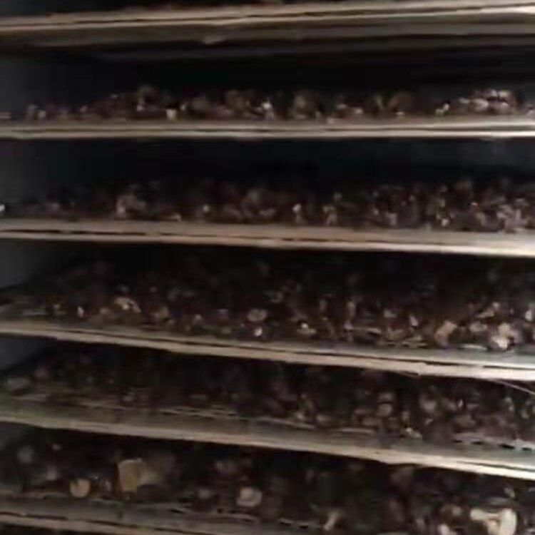 豆角脱水干燥机 虾壳烘干机 鸿宇机械 药材干燥机 厂家供应