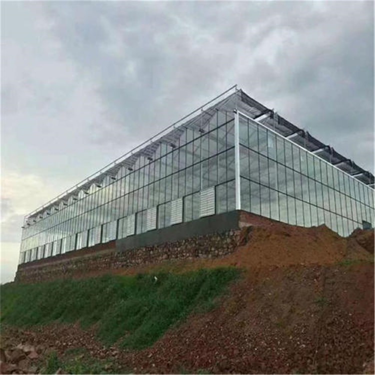 山东太阳能板连栋温室 智能玻璃温室设计旭航温室工程建设厂家图片